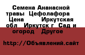 Семена Ананасной травы (Цефолафора) › Цена ­ 50 - Иркутская обл., Иркутск г. Сад и огород » Другое   